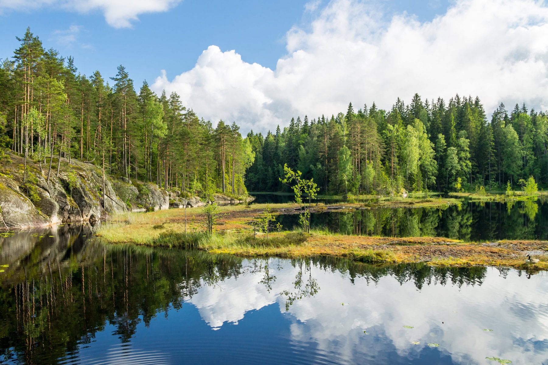 Nuuksio Sightseeing Tour